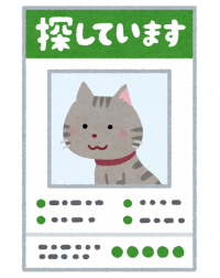 yukuefumei_pet_cat