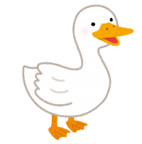 bird_duck_ahiru