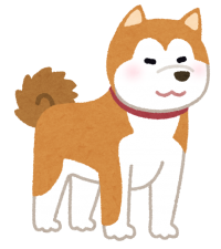 dog_akitainu
