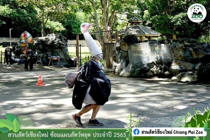 Chiang-Mai-Zoo-20220824